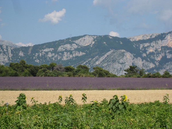 gorges-du-verdon-019