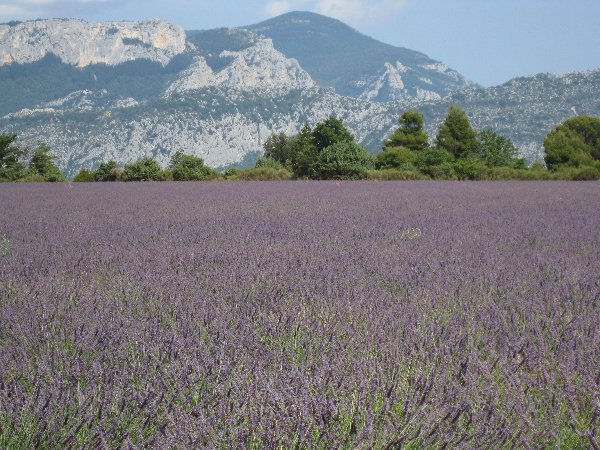 gorges-du-verdon-022