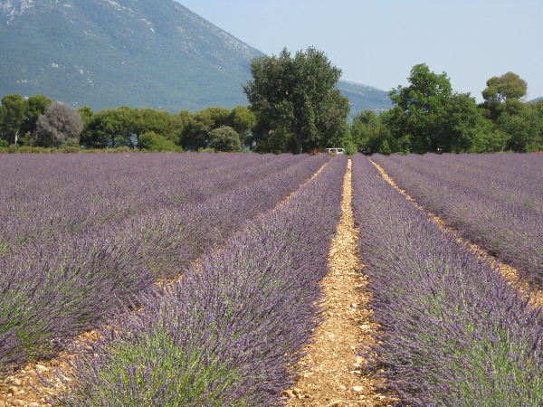 gorges-du-verdon-023