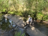 glengariff_and_garnishloop-019