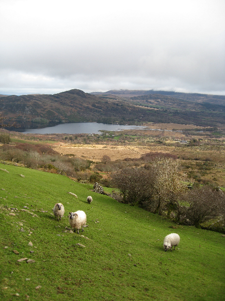 seefin_aka_windygap_ireland-088