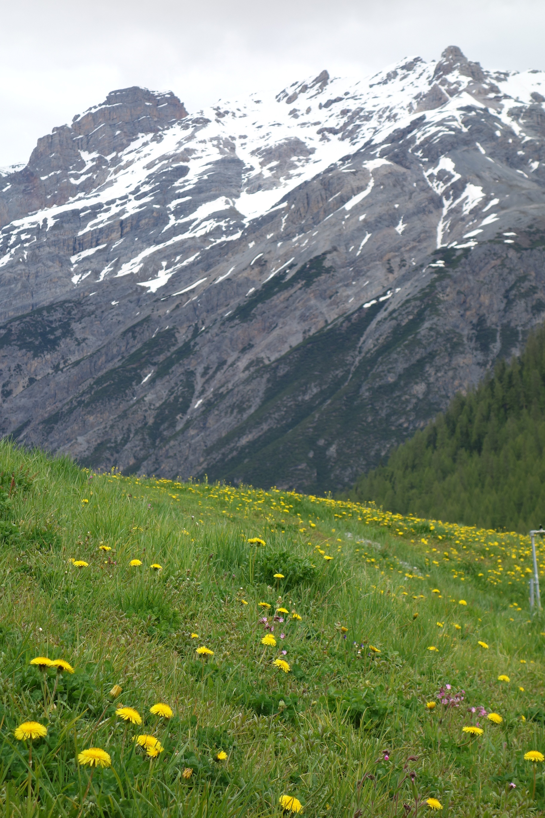 LivignoToBellwald 001