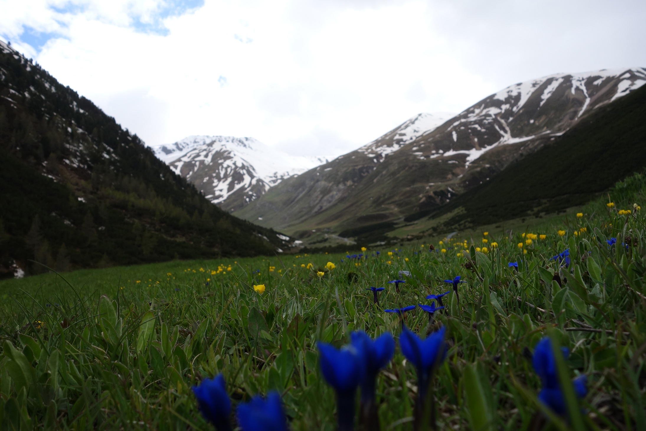 LivignoToBellwald 017