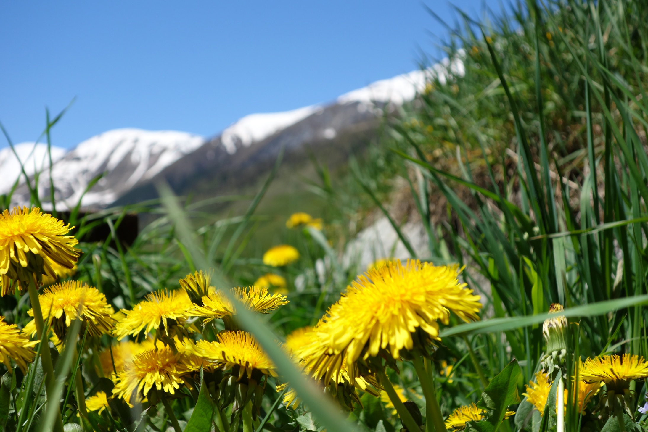 VeniceToLivigno 076