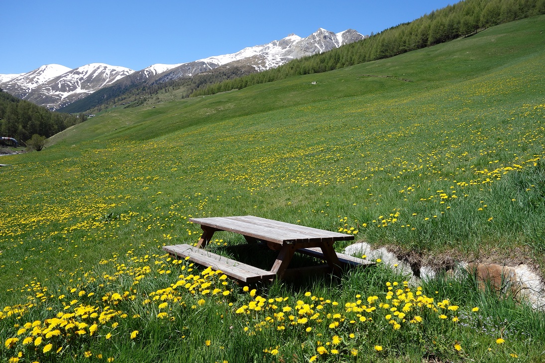 VeniceToLivigno 084