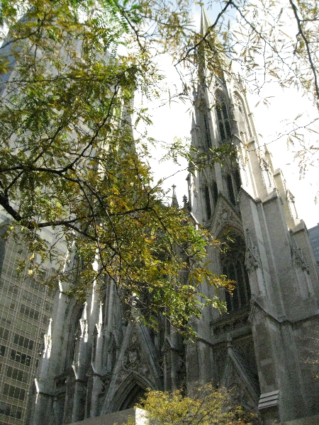 2011nyc-043